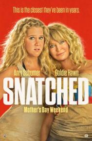 Snatched poster