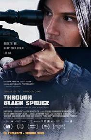 Through Black Spruce poster