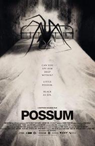 Possum poster