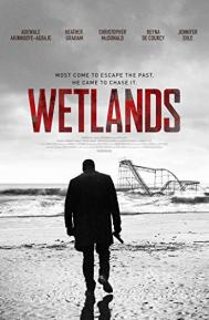 Wetlands poster