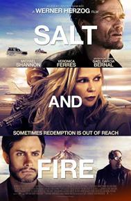 Salt and Fire poster