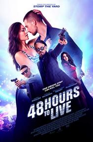 48 Hours to Live poster