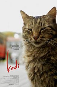 Kedi poster