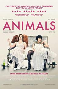 Animals poster