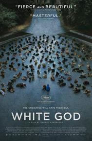 White God poster