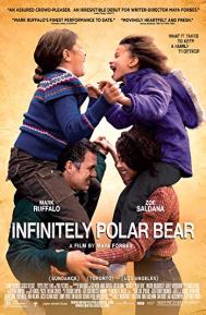 Infinitely Polar Bear poster