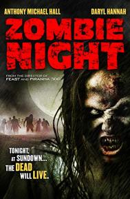 Zombie Night poster