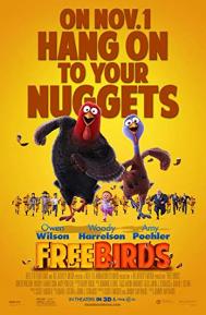 Free Birds poster