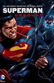 Superman: Unbound poster