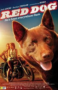 Red Dog poster