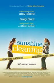 Sunshine Cleaning poster