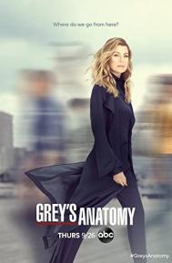 Greys Anatomy Season 4 poster