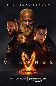 Vikings Season 5 poster