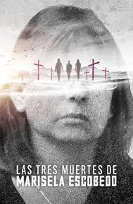 The Three Deaths of Marisela Escobedo poster