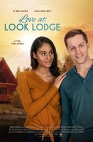 Love at Look Lodge poster