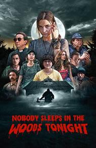 Nobody Sleeps in the Woods Tonight poster