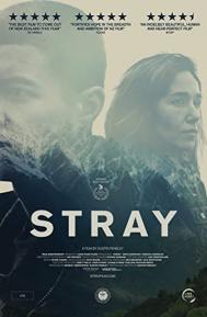 Stray poster