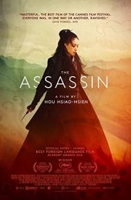 The Assassin poster