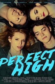 Perfect High poster