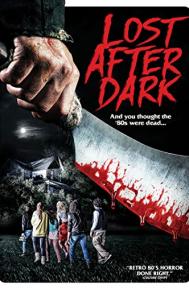 Lost After Dark poster