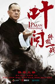 Ip Man: The Final Fight poster