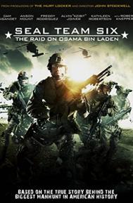 Seal Team Six: The Raid on Osama Bin Laden poster