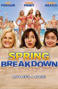 Spring Breakdown poster