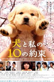 10 Promises to My Dog poster