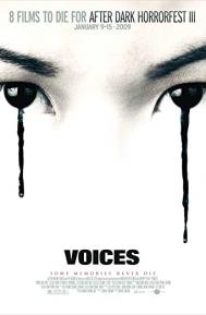 Voices poster