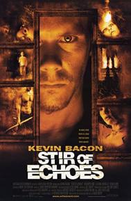 Stir of Echoes poster