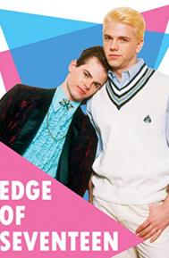 Edge of Seventeen poster