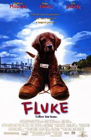 Fluke poster