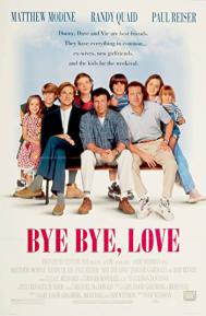 Bye Bye Love poster