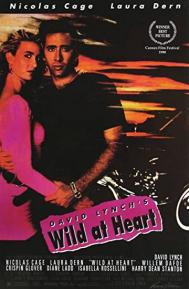 Wild at Heart poster