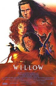 Willow poster