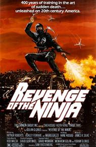 Revenge of the Ninja poster