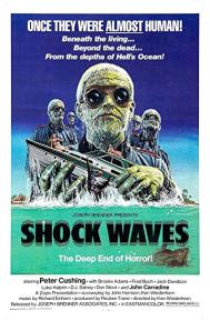 Shock Waves poster