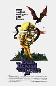 From Beyond the Grave poster