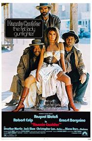 Hannie Caulder poster