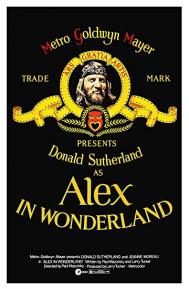 Alex in Wonderland poster