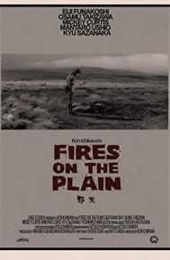 Fires on the Plain poster