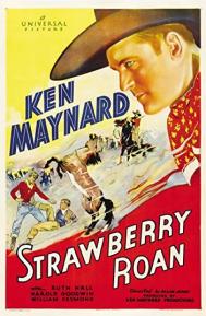 Strawberry Roan poster