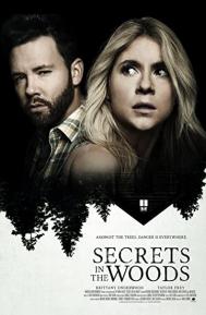 Secrets in the Woods poster