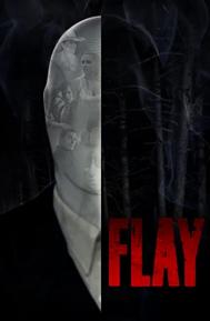 Flay poster