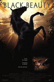 Black Beauty poster