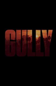 Gully poster