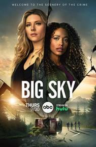 Big Sky Season 1 poster