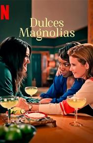 Sweet Magnolias Season 2 poster