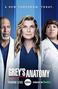 Grey's Anatomy Season 20 poster