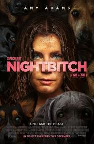 Nightbitch poster